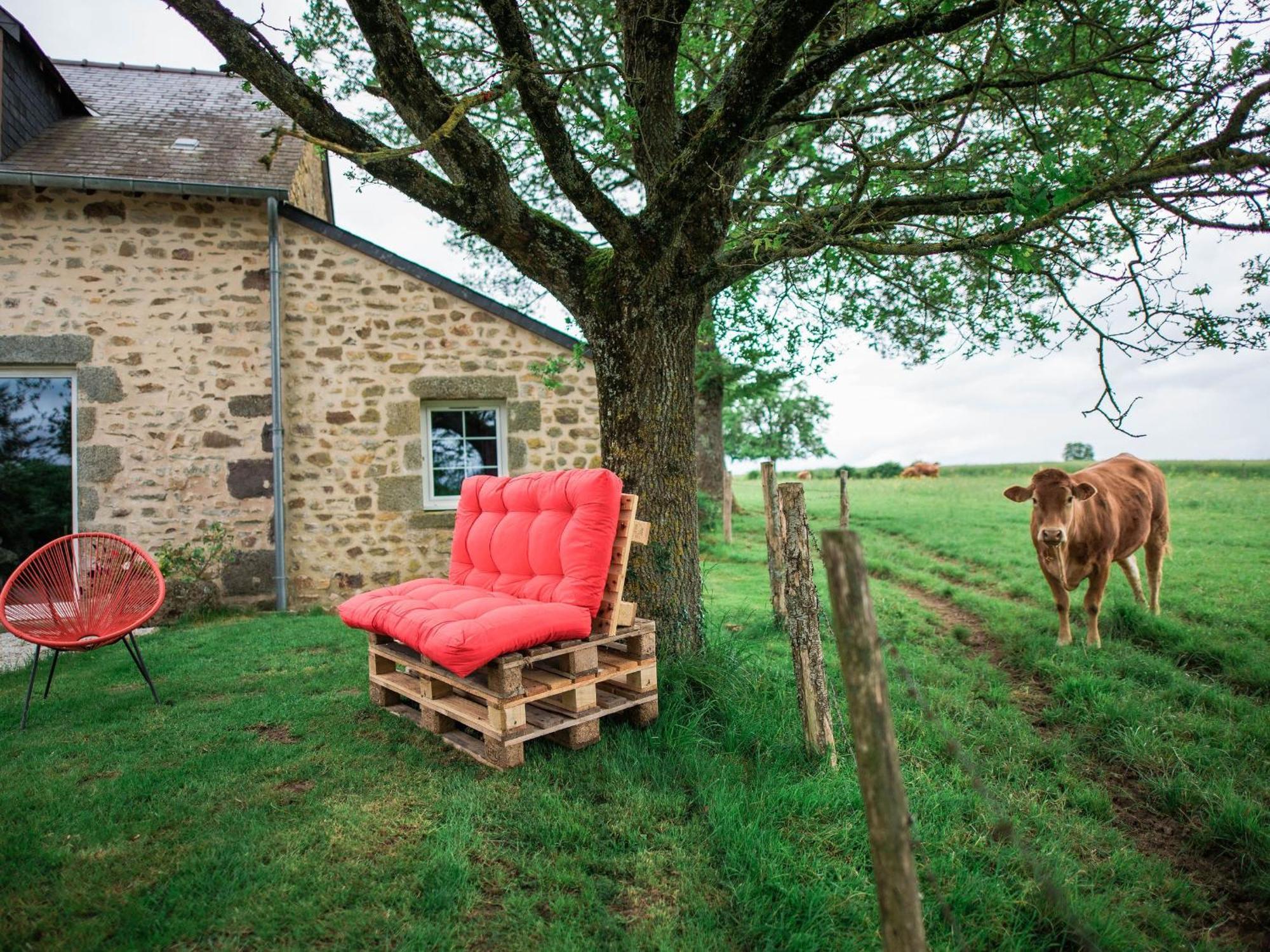Gite De Charme Renove Avec Cheminee, Terrasse Et Proche Randonnees - Capacite 13 Pers. - Fr-1-410-179 Saint-Léonard-des-Bois 외부 사진